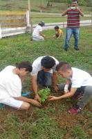 Alunos da Escola Maria do Carmo Vieira realizam plantio de rvores nativas