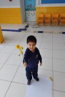 Centro de Educao Infantil do bairro Cordeiros realiza experincias com flores