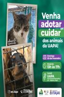 UAPA reabre neste domingo (05) com feira de adoo de animais