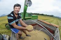 Produtividade do arroz aumenta 40% em Itaja 