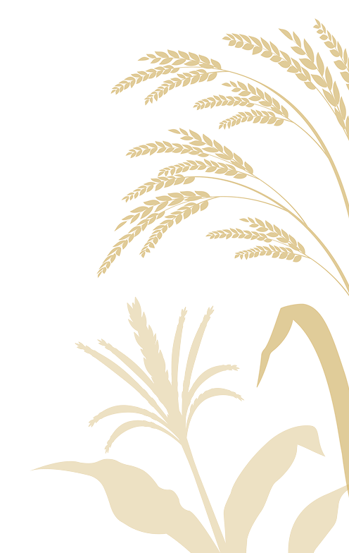 Folhas Direitas - Detalhes do Fundo